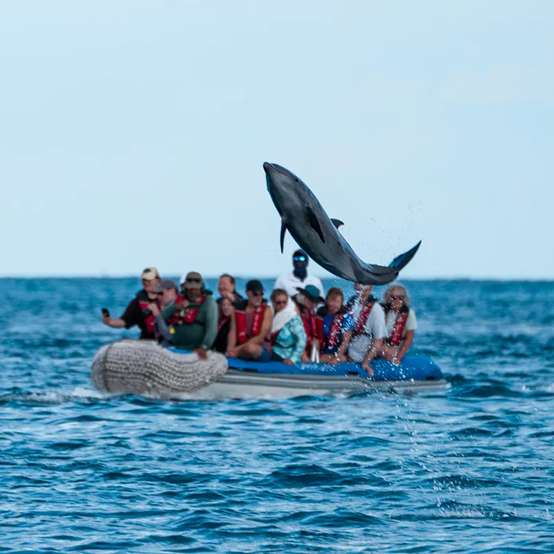 Ecoventura Excursions