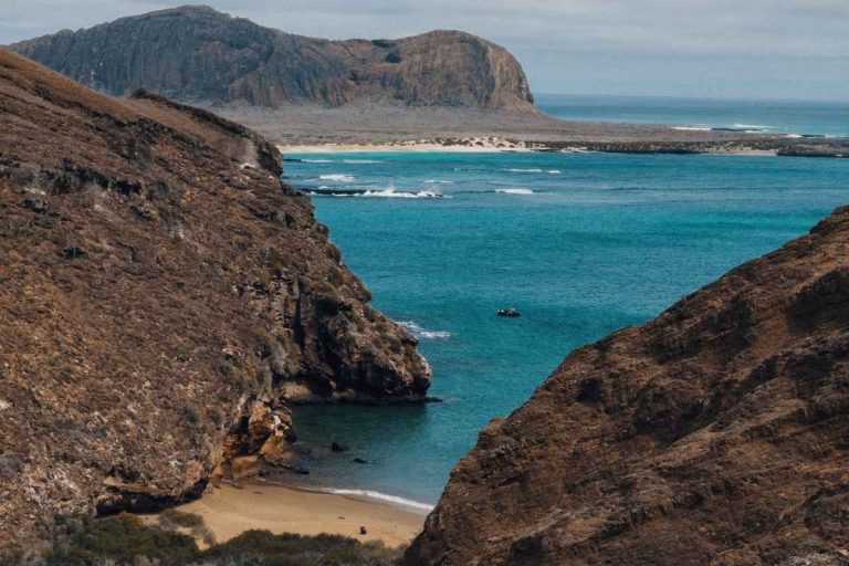 galapagos