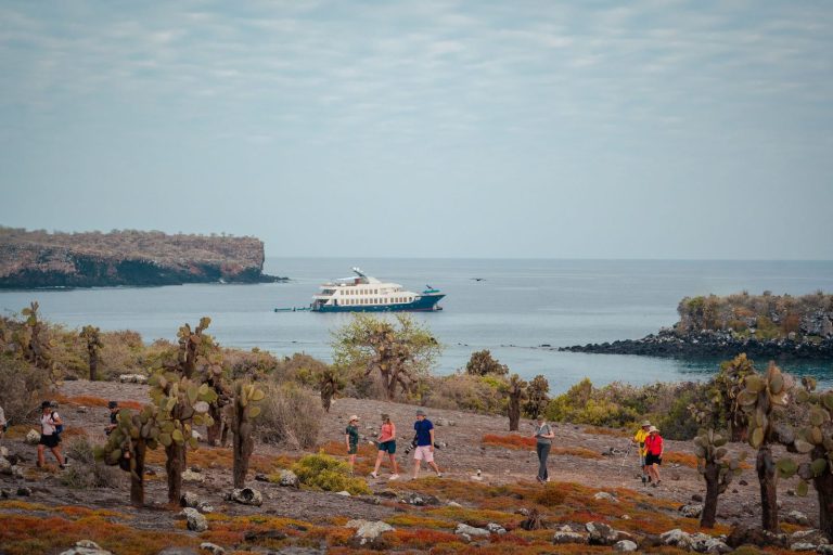 The Rise of Expedition Cruising — and Why the Galapagos Stands Apart 