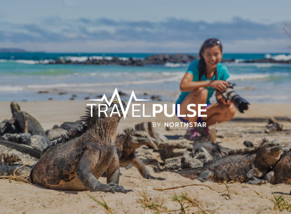travel-pulse